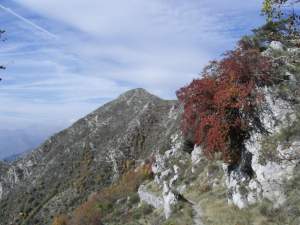 Xtrallusion photo library of independent, self-guided walking and sightseeing holidays in Italy. Pictures, images, photos and photographs taken along the way of this 1-day walking itinerary, to give you a visual impression of the day's walk.